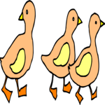 Ducks 3