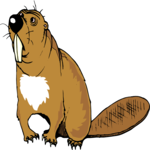 Beaver 6 Clip Art