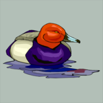 Duck 25
