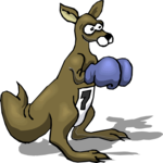 Kangaroo Boxing