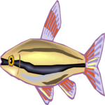 Pencilfish 1
