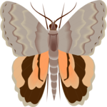 Moth 19 Clip Art