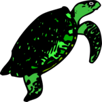 Turtle 5 Clip Art