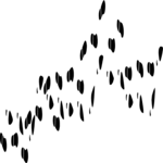 Trail of Shoeprints 2