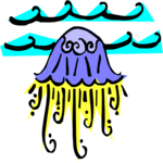 Jellyfish 3