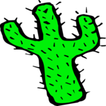 Cactus 18