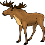 Moose 12 Clip Art