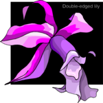 Double-Edged Lily Clip Art