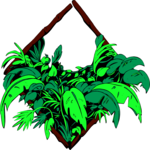 Plant Frame (2) Clip Art