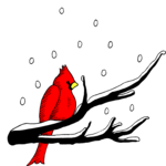 Robin in Snow Clip Art