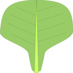 Leaf 011