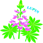 Lupin Clip Art