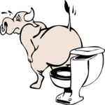 Bull - Potty 1