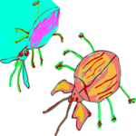 Insects