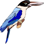 Kingfisher 10 Clip Art