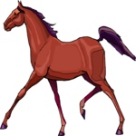Horse Galloping 3