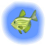 Fish 153 Clip Art