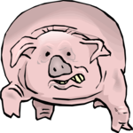 Pig - Stressed