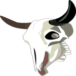 Steer Skull 12