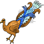 Peacock 5