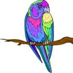 Parrot 20 Clip Art