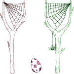 Spider Web Slingshots