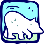 Bear - Polar