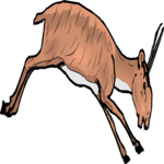 Antelope 25