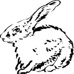 Rabbit 3 Clip Art
