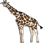 Giraffe 22