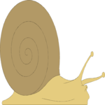 Snail 06