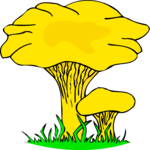 Mushrooms 01 Clip Art