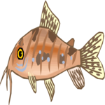 Catfish - Corydoras 1