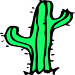 Cactus 17