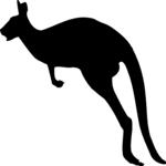 Kangaroo 4