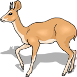 Antelope 52 Clip Art