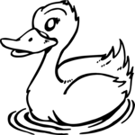 Duck 20