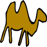 Camel 03