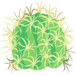 Cactus - Barrel 3