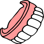 Dentures 1 Clip Art