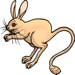 Jerboa 4