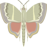 Moth 42 Clip Art