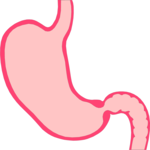 Gastrointestinal 1 Clip Art