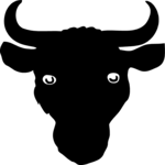Bull - Head 2