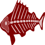 Fish Skeleton 4