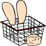 Bunny Basket