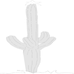 Cactus 09