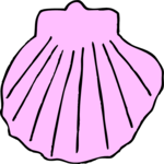 Sea Shell 2