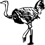 Ostrich 1 Clip Art