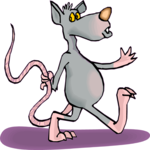 Rat Holding Tail 1
